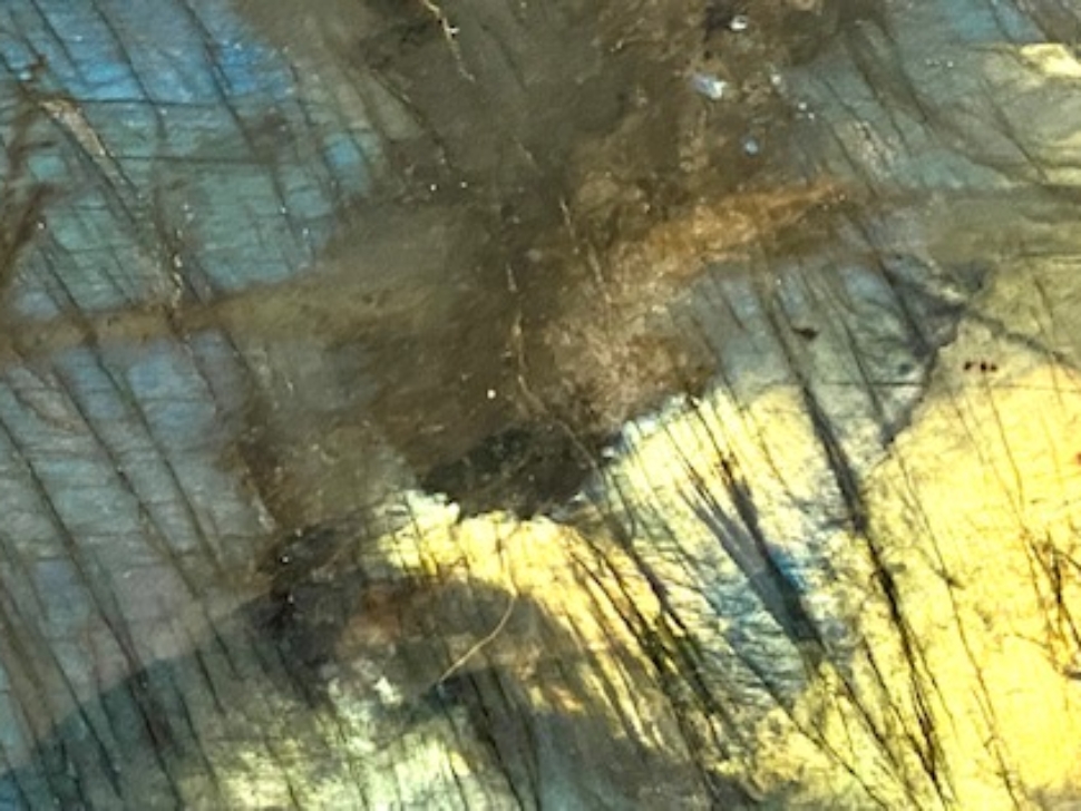 Labradoriet Mirjam Lie 4